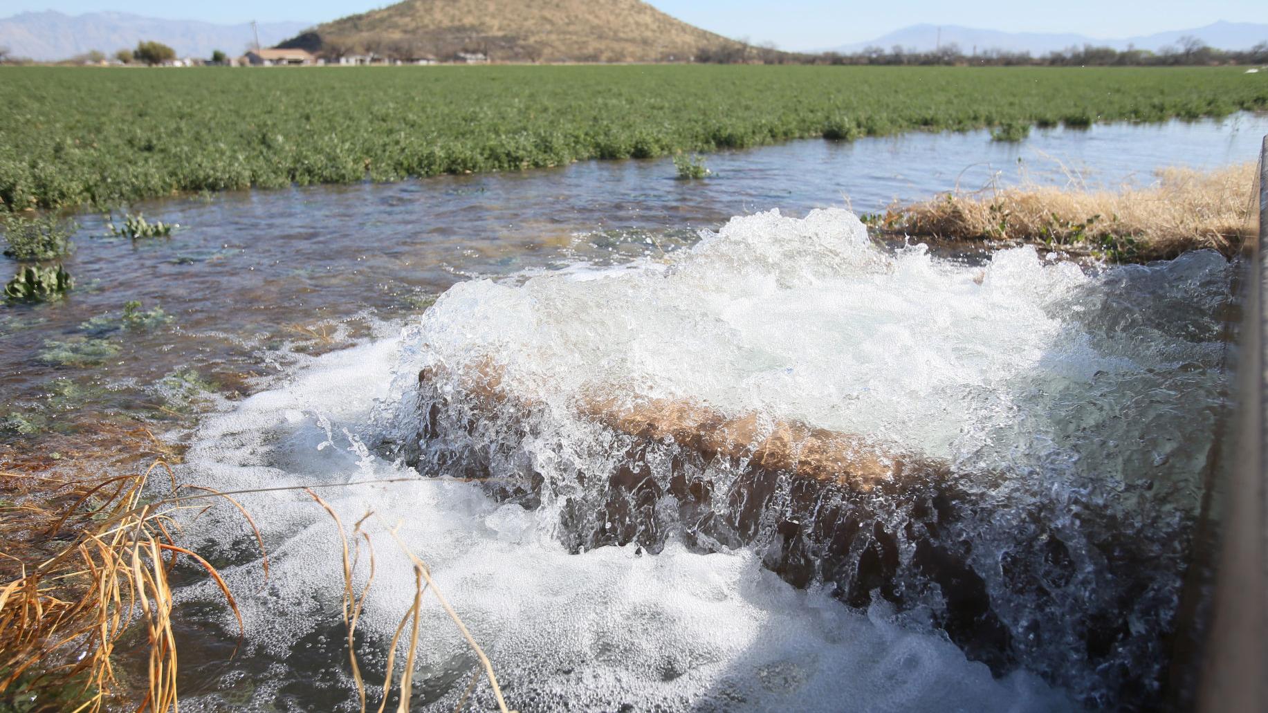 US water official: Feds will protect Colorado River without state drought plans